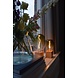 Calex Calex AVESTA Gradient-Vert-LED-Farben Calex Calex AVESTA Gradient-Vert-LED-Farben