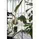Calex Calex Smart Led G200 Titanium Calex Calex Smart Led G200 Titanium
