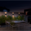 Calex LED Wandlamp - Up & Down - Zwart - Warm Wit Licht - 8W