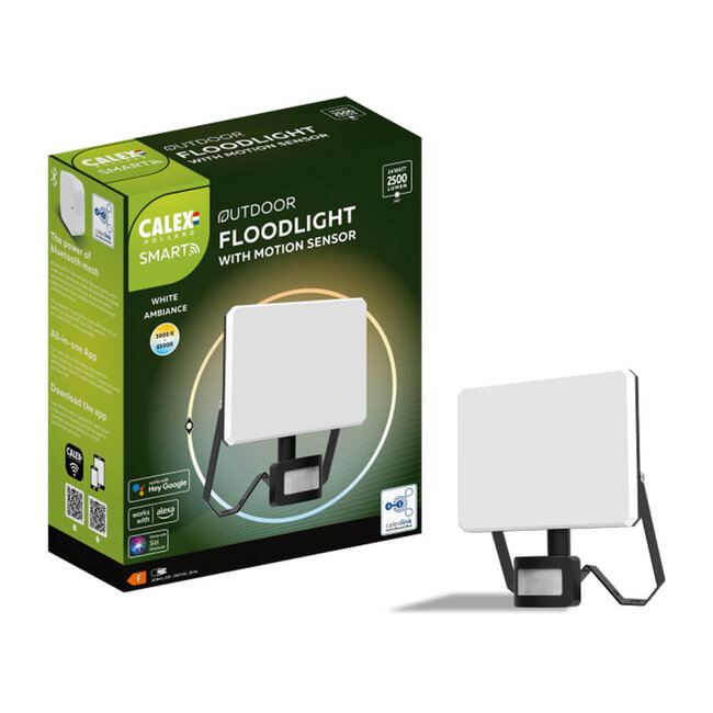 Calex smart outdoor frameless floodlight