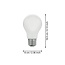 Lampe LED milky EGLO E27 A60 7W 806lm dimmable dim to warm 2000-3000K