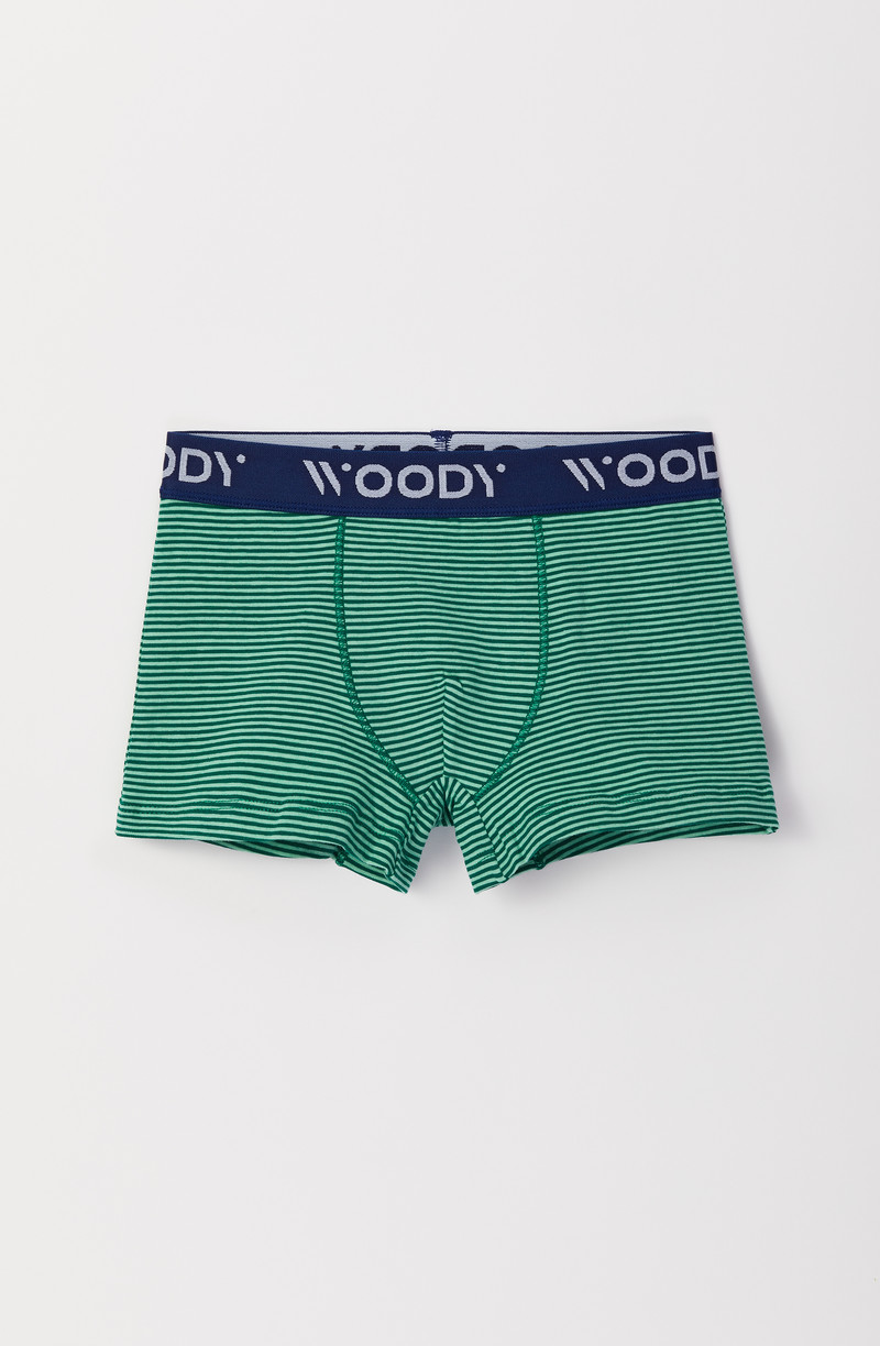 Woody Jongens Boxer, duopack groen + lichtgroen fijn gestreept
