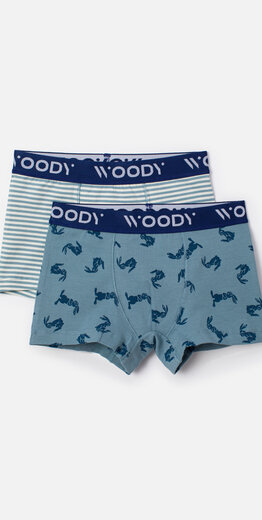 Woody Jongens Boxer, duopack haas print blauw + streep