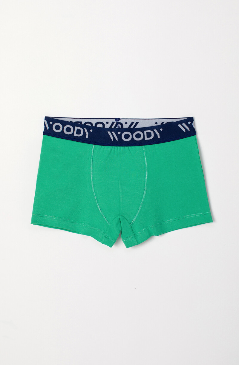Woody Jongens Boxer, groen-blauwe streep + groen