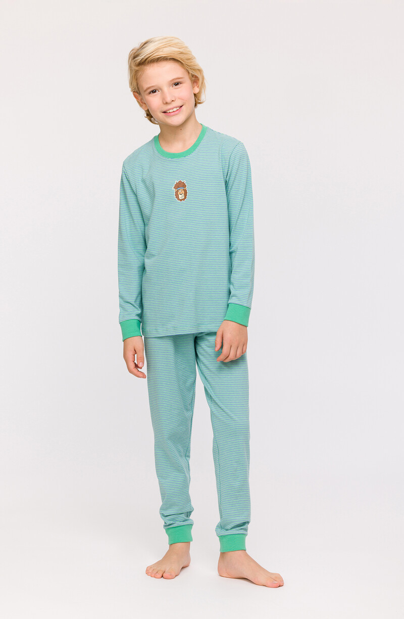 Woody Jongens-Heren Pyjama, groen-blauwe streep