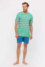 Woody Jongens-Heren Pyjama, groen-blauwe streep