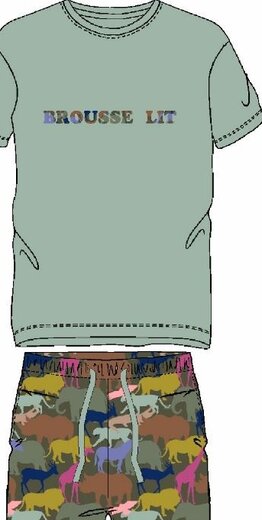 ARTHUR PAU BROUE24 MULT