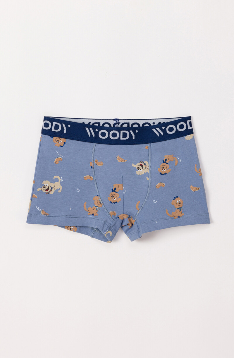 Woody Jongens Boxer, set blauw + labradoodle print