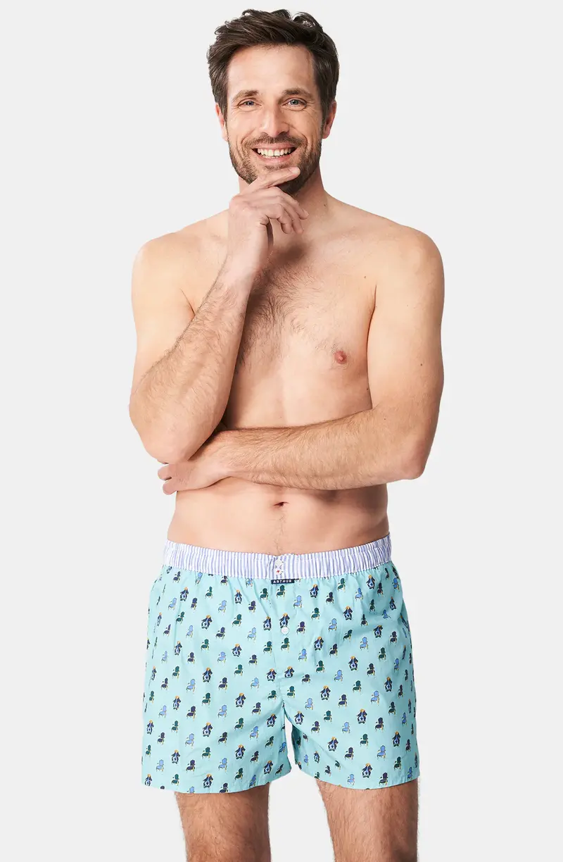 ARTHUR CSP 1115H24 JADE Q