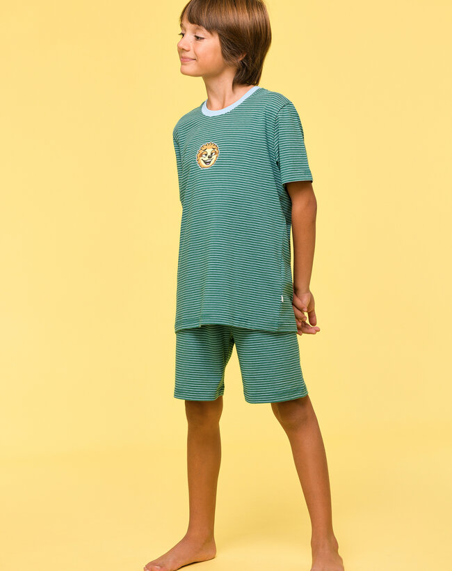 Woody Jongens-Heren Pyjama, groene streep