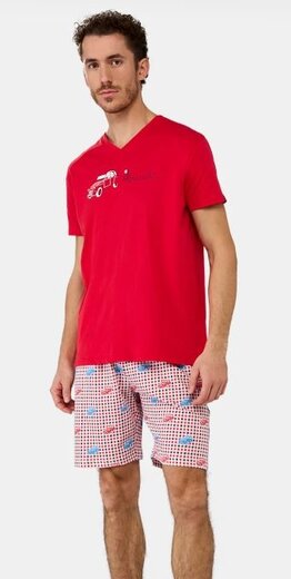 ARTHUR PAU2CVCE25 ROU