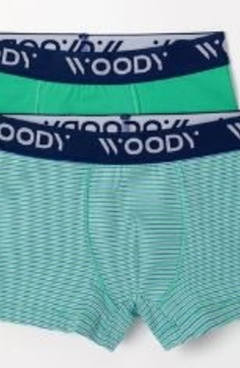 Woody Jongens Boxer, groen-blauwe streep + groen