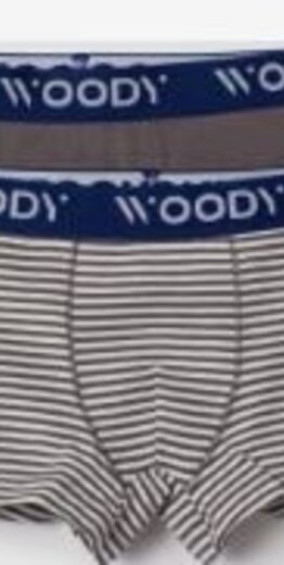 Woody Jongens Boxer, duopack grijs uni + streep