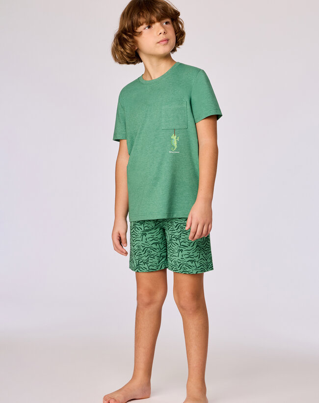 Woody Jongens-Heren pyjama, groen