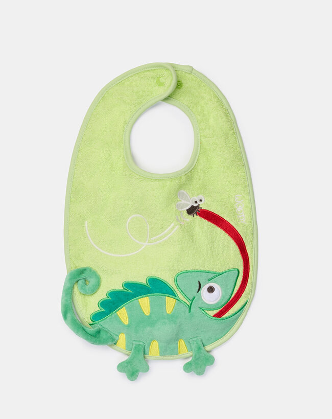 Woody Slabbetje, kameleon