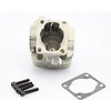 RovanSports 29cc 4 point bolt fixed cylinder