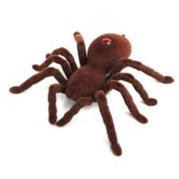 R/C Spider