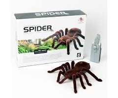 R/C Spider