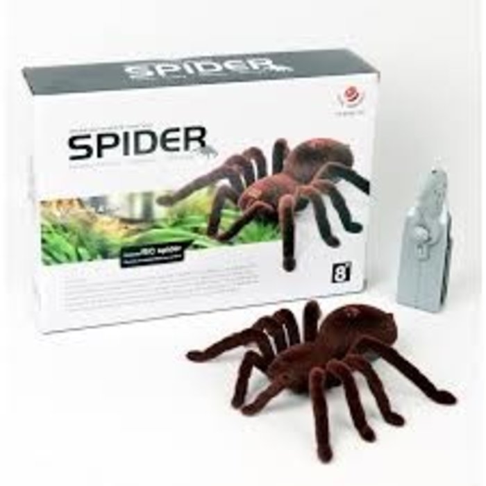 R/C Spider