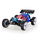 Raptors BX-16 4WD Brushless RTR RC Buggy
