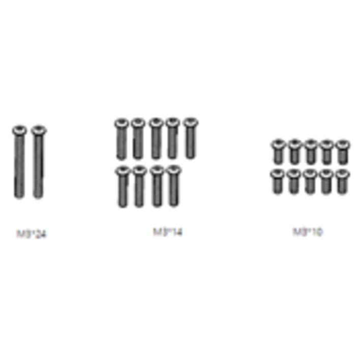ZD Racing MT16 Schroeven 10x M3x10 & 9x M3x14 & 2x M3x24
