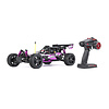 RovanSports Rovan BAHA 10B 1/10 Brushless Off-Road Buggy 2S RTR –Purple