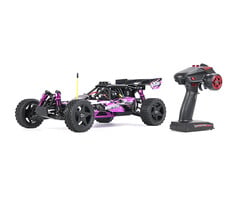RovanSports Rovan BAHA 10B 1/10 Brushless Off-Road Buggy 2S RTR –Purple