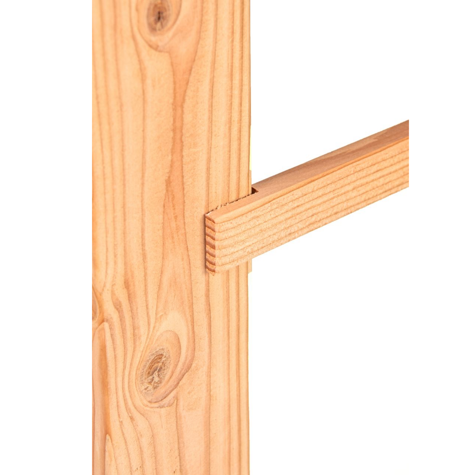Douglas vast raam 45x150cm