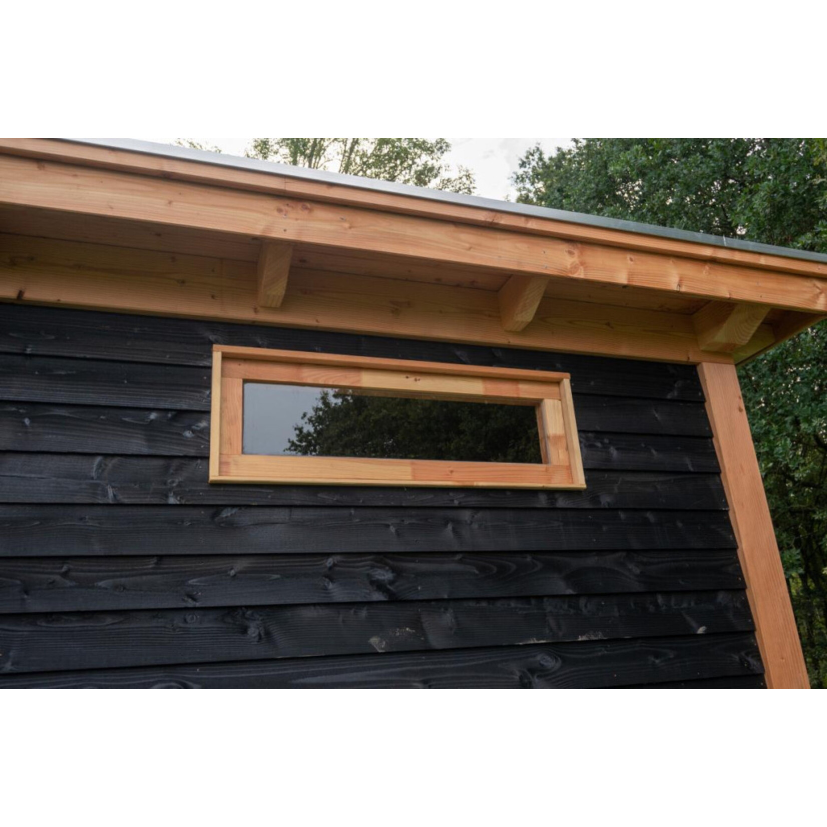 Douglas vast raam panorama 34.2x107.2cm