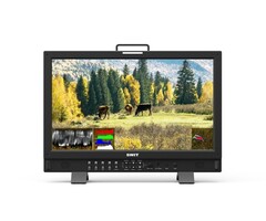 Swit SWIT BM-H215 21.5-inch 4K Input Ready Production Monitor