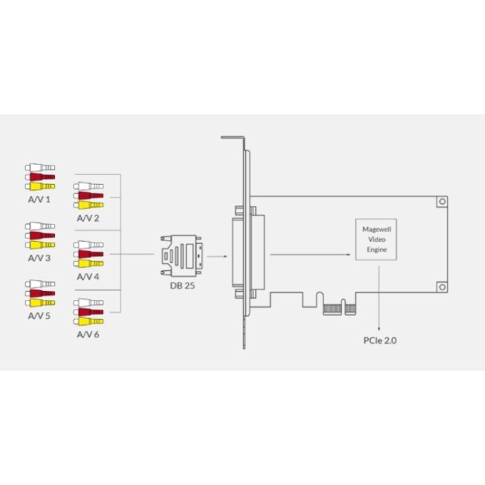 Magewell Magewell Pro Capture Hexa CVBS