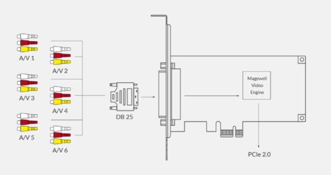 Magewell Magewell Pro Capture Hexa CVBS