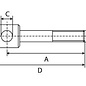 DAUTEL PLUNJERSTANG D=55,dautel