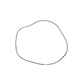 DAUTEL O-RING D=247x2