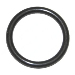 DHOLLANDIA O-RING D= 100/5,dhollandia