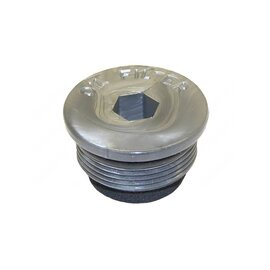 DHOLLANDIA PLASTIEK PLUG M30x1,5