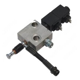 DHOLLANDIA VENTIEL (OVERDRUK ) 24 V
