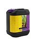  ATAMI B'CUZZ 1-COMPONENT SOIL 5 LITER