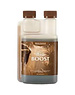 CANNA  BIOCANNA BIO BOOST 250 ML