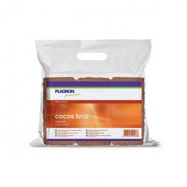 PLAGRON COCOS BRIX 24 STUKS