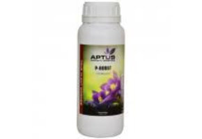 P-BOOST 500 ML