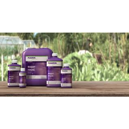 PLAGRON SUGAR ROYAL 1 LITER PLAGRON SUGAR ROYAL 1 LITER