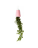  Boskke Sky Planter Gerecycled, small, roze (uitlopend)