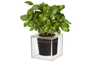 Cube, small, doorzichtig