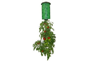 Topsy Turvy. Omgekeerde tomatenplanter