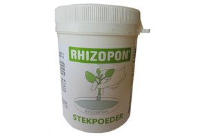 CHRYZOTOP GROEN 0.25% 20 GRAM