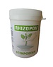 RHIZOPON CHRYZOTOP GROEN 0.25% 20 GRAM