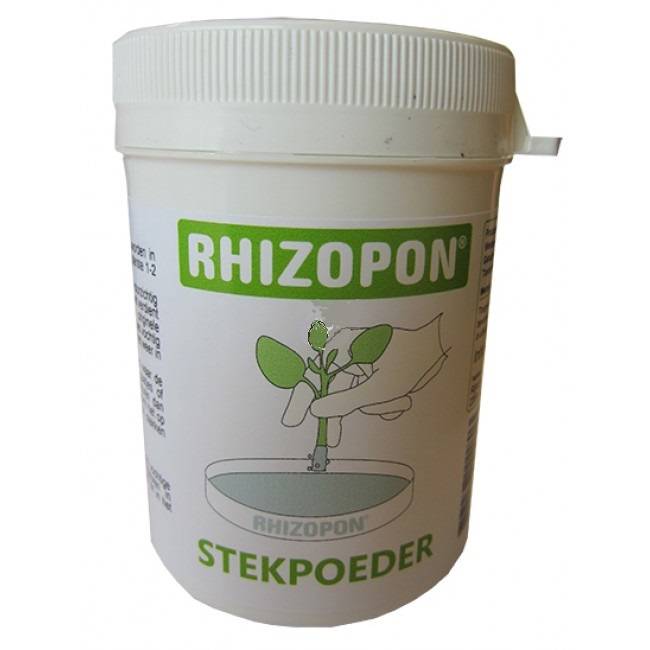 RHIZOPON CHRYZOTOP GROEN 0.25% 80 GRAM