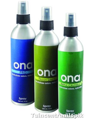 ONA SPRAY Apple Crumble 250 ml