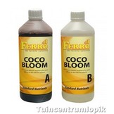 FERRO STANDAARD COCOS BLOEI A+B 1 LITER